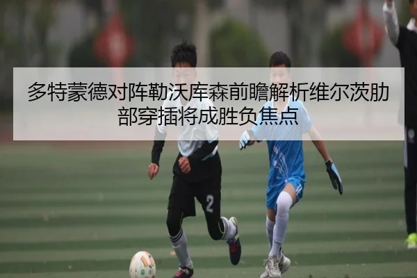 多特蒙德对阵勒沃库森前瞻解析维尔茨肋部穿插将成胜负焦点